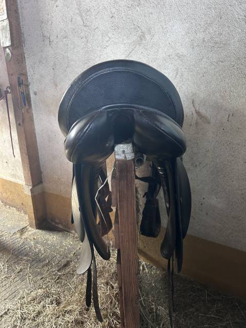 Sella da dressage Prestige Italia  18" - 2015