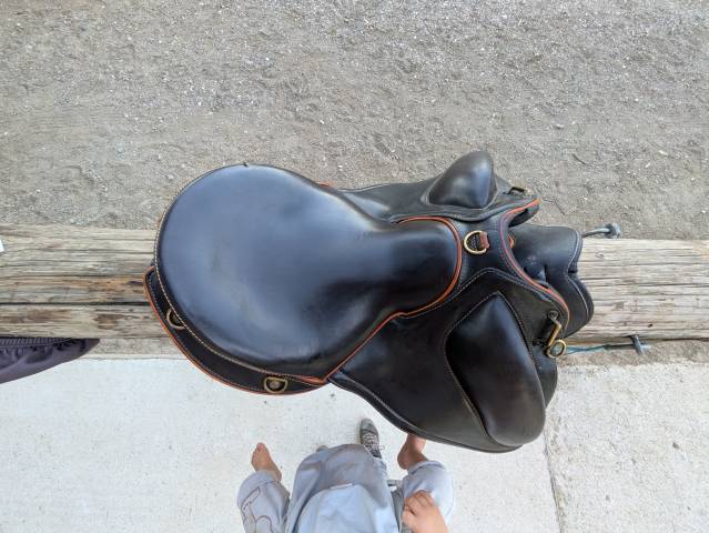 Sella da endurance Gaston Mercier  17" - 2022