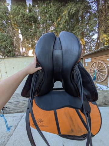 Sella da endurance Gaston Mercier  17" - 2022