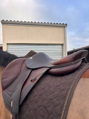 Sella da salto ostacoli CWD  17.5" - 2018