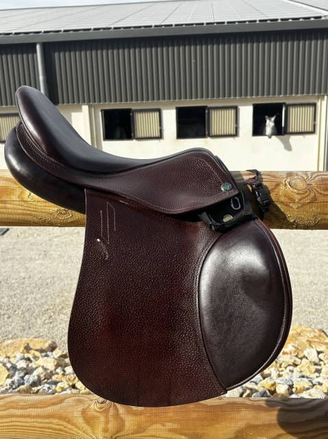 Sella da salto ostacoli Prestige Italia  16.5" - 2024