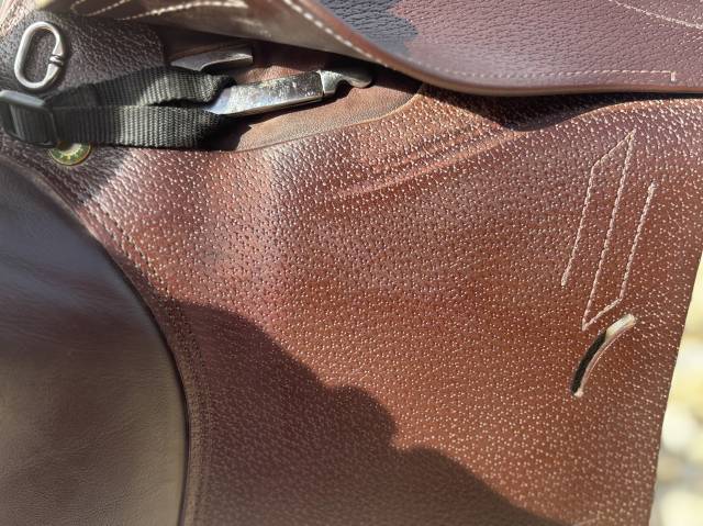 Sella da salto ostacoli Prestige Italia  16.5" - 2024