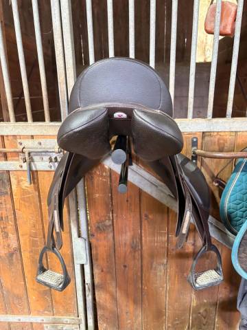 Sella mista Wintec 500 care hart mixte 17.5" - 2025