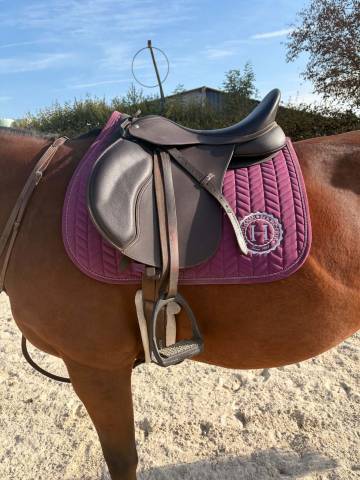Sella mista Wintec 500 care hart mixte 17.5" - 2025