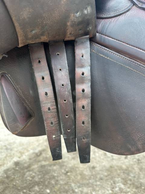 Sella mista CWD  17.5" - 2013