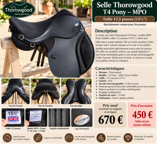 Sella Junior / Sella Pony Thorowgood   15.5" - 2018