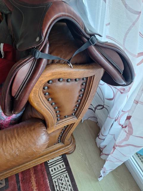 Sella mista CWD  17" - 2014
