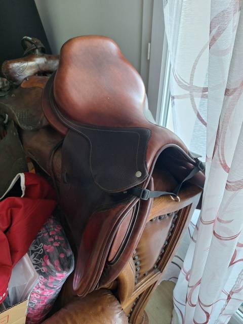Sella mista CWD  17" - 2014