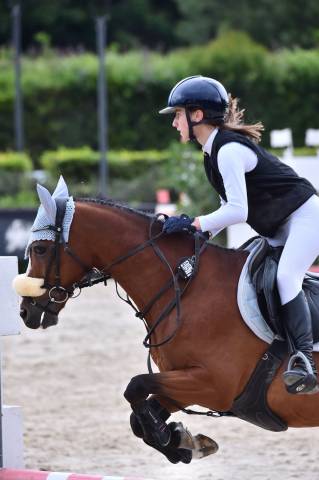 Pony olandese esperto competitivo