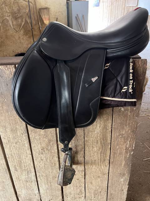 Sella da salto ostacoli Equipe  18" - 2021