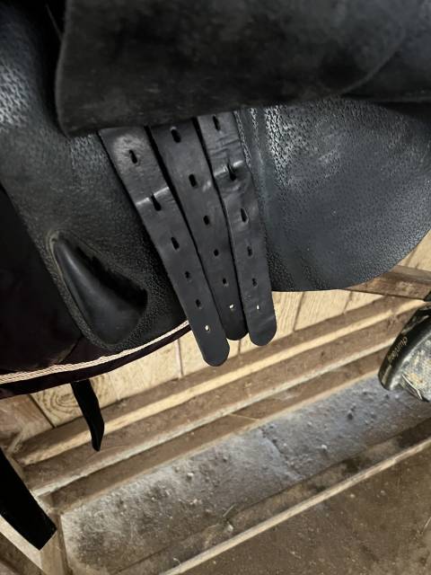 Sella da salto ostacoli Equipe  18" - 2021