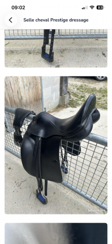 Sella da dressage Prestige Italia  17" - 2015