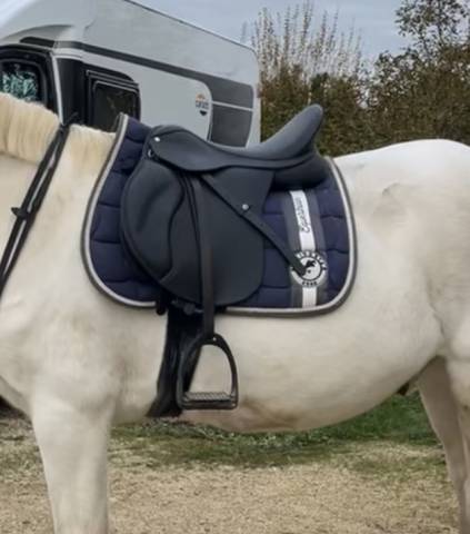Sella mista Wintec  17" - 2023