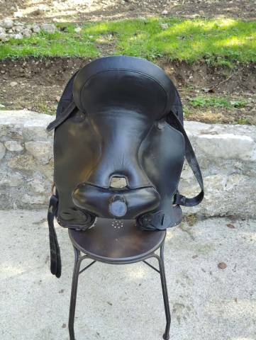Sella western Kings Series by Tough 16" - 2020