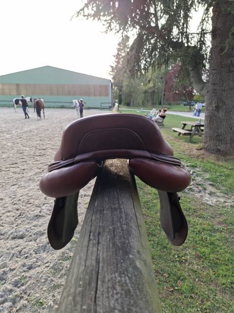 Sella da salto ostacoli CWD  17.5" - 2019