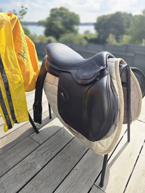 Sella da salto ostacoli Amerigo Octave Pinerolo 17.5" - 2024