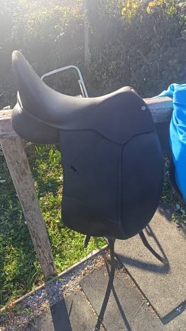 Sella wintec 250 da 17" Sella  wintec Isabelle 17.5"