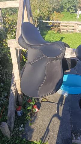 Sella wintec 250 da 17" Sella  wintec Isabelle 17.5"