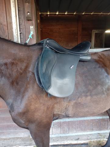 Sella mista Wintec  17" - 2019