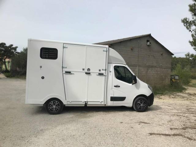 Van per Cavalli Renault  2019 Occasione