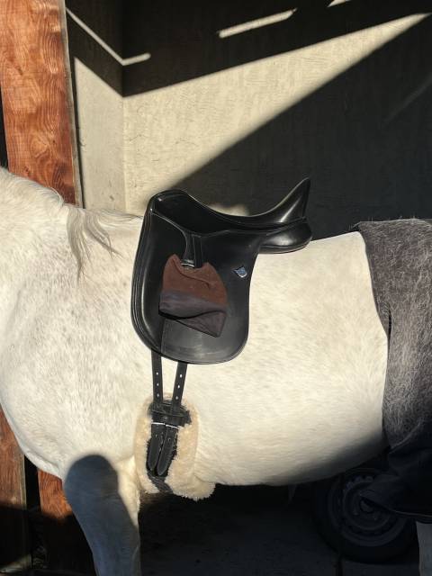 Sella da dressage Bates  17.5" - 2024