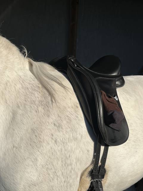 Sella da dressage Bates  17.5" - 2024