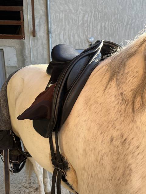 Sella da dressage Bates  17.5" - 2024