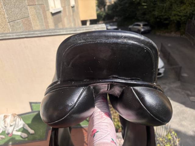 Sella dressage Anky Classic