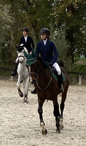 vendita/noleggio cavallo da salto 12 y.o