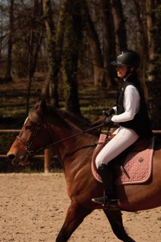  Kentucky Occasione
