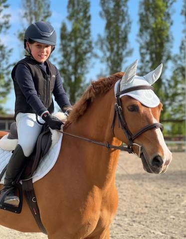 PONY DA SALTO DEL 2015 IN VENDITA
