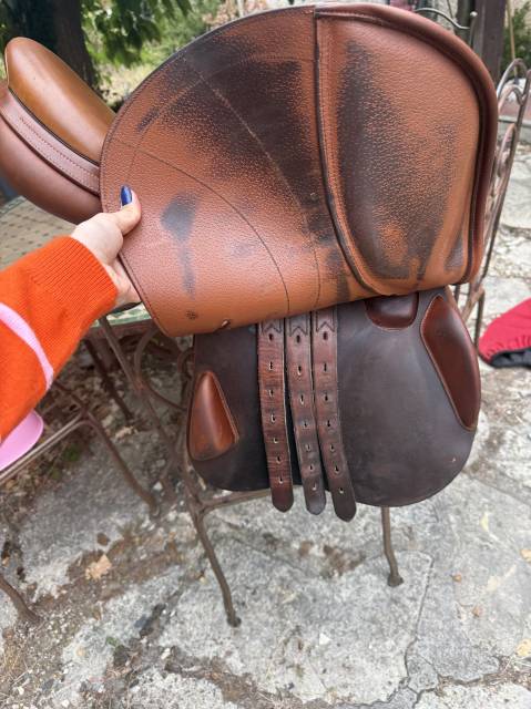 Sella da salto ostacoli Equipe  17.5" - 2021