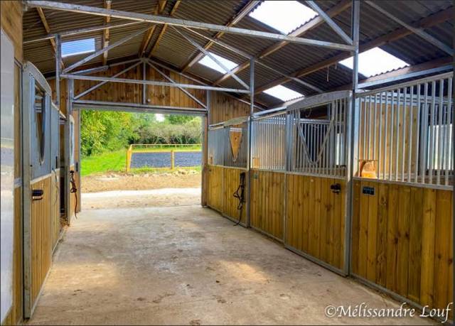 Propriet&agrave; equestre In vendita Seine-et-Marne