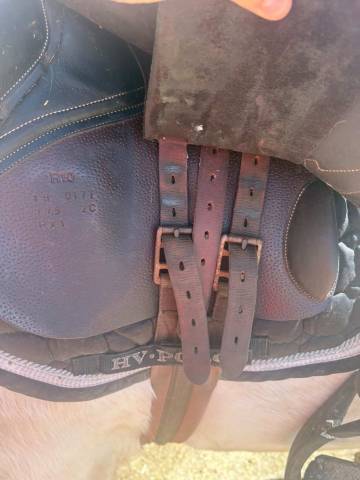 Sella mista Rebelle  17.5" - 2022