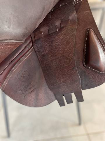 Sella da salto ostacoli CWD  17.5" - 2023