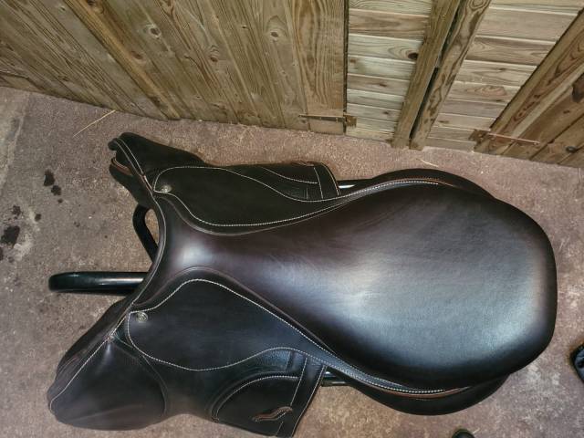 Sella da salto ostacoli Arion Shoulder free  double quartier  18" - 2024