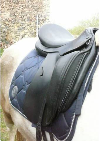 Sella da dressage Prestige Italia  17" - 2020