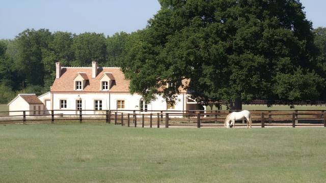 Propriet&agrave; equestre In vendita Loir-et-Cher