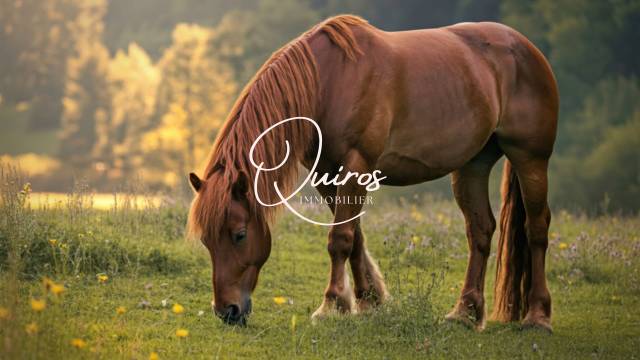 Propriet&agrave; equestre In vendita 