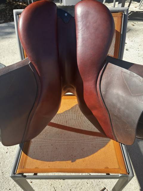 Sella da salto ostacoli CWD  15.5" - 2024