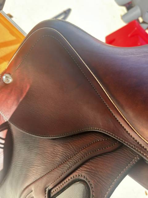 Sella da salto ostacoli CWD  15.5" - 2024