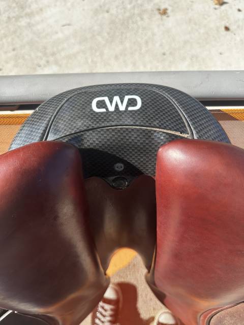 Sella da salto ostacoli CWD  15.5" - 2024