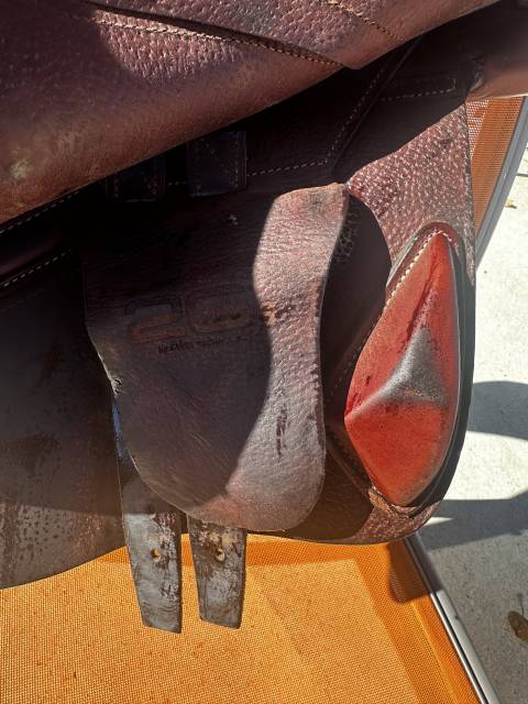 Sella da salto ostacoli CWD  15.5" - 2024