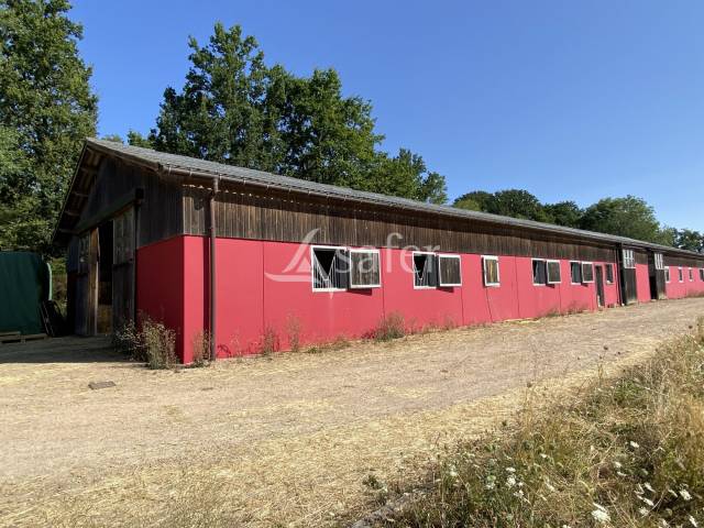 Propriet&agrave; equestre In vendita Orne