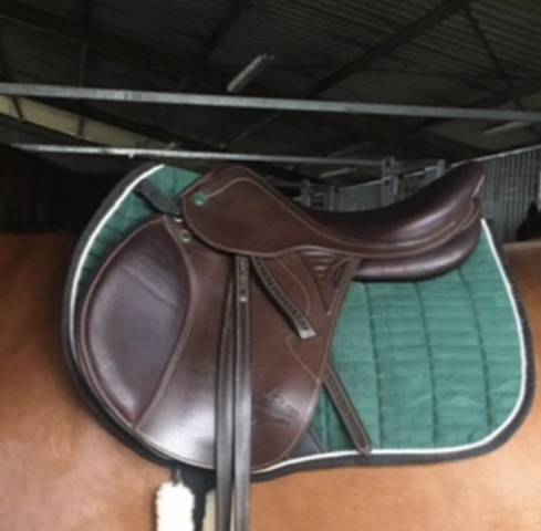 Sella mista Prestige Italia  17.5" - 2019