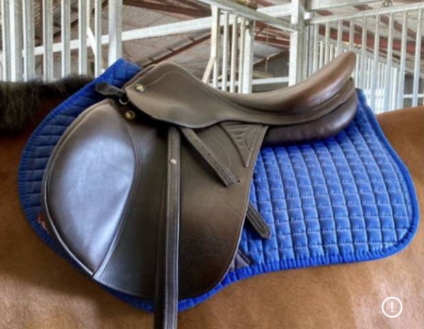 Sella mista Prestige Italia  17.5" - 2019