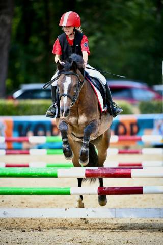 PONY SUPER 