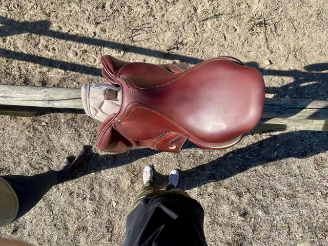 Sella da salto ostacoli CWD  17.5" - 2024