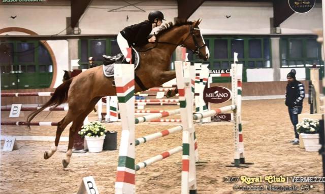 castrone da salto 2012