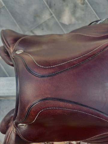 Sella da salto ostacoli CWD  17.5" - 2023